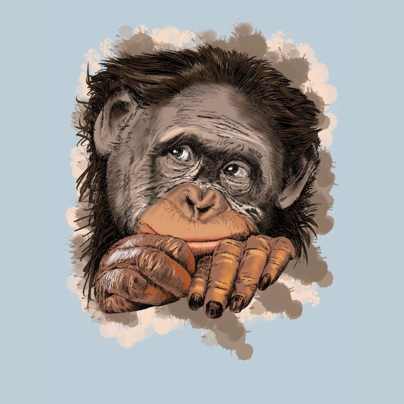 Monkey
