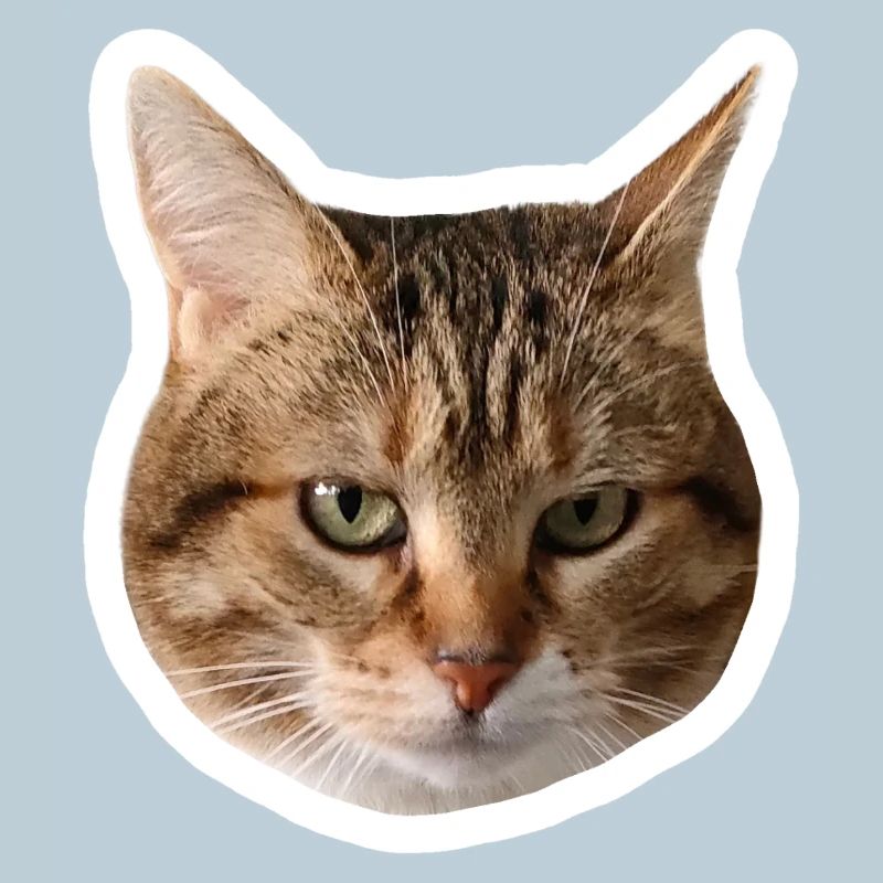 Missty sticker triste
