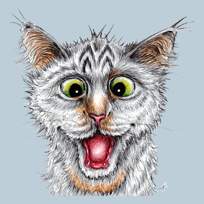 Chat heureux