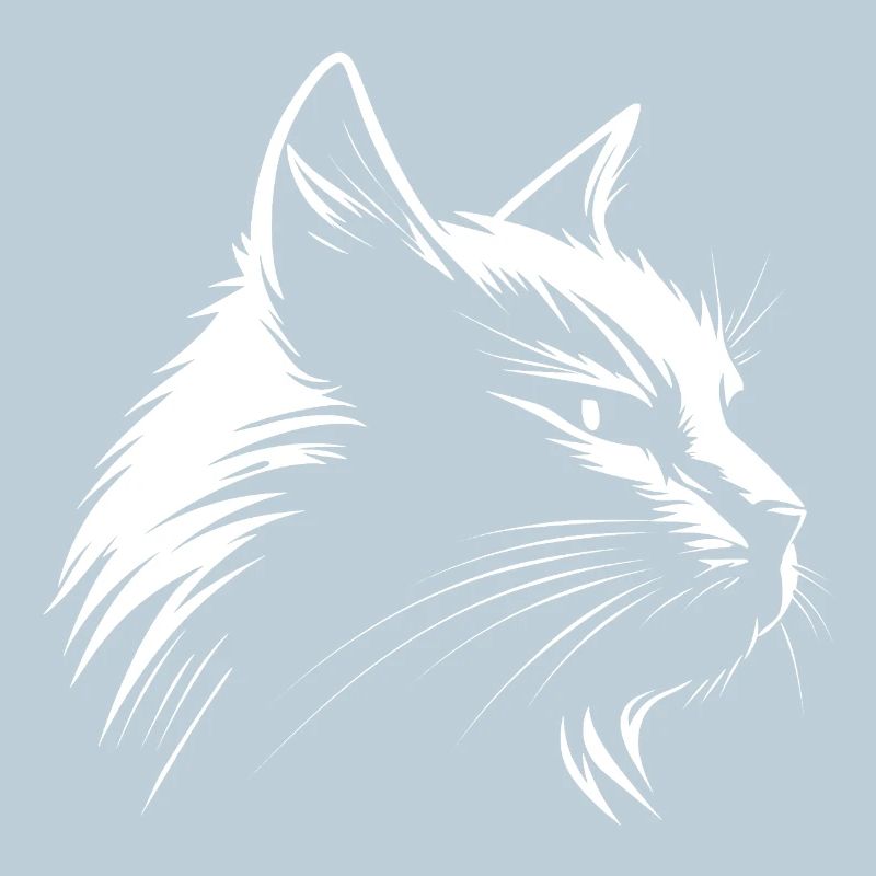 Blanc chat :-)