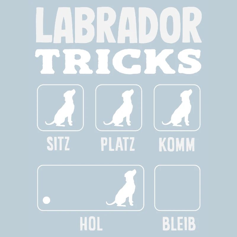 Astuces du Labrador