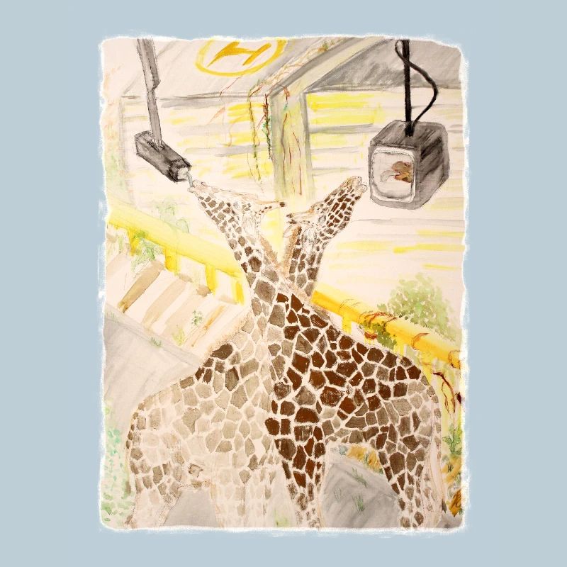 Girafe au milieu du transit au néon