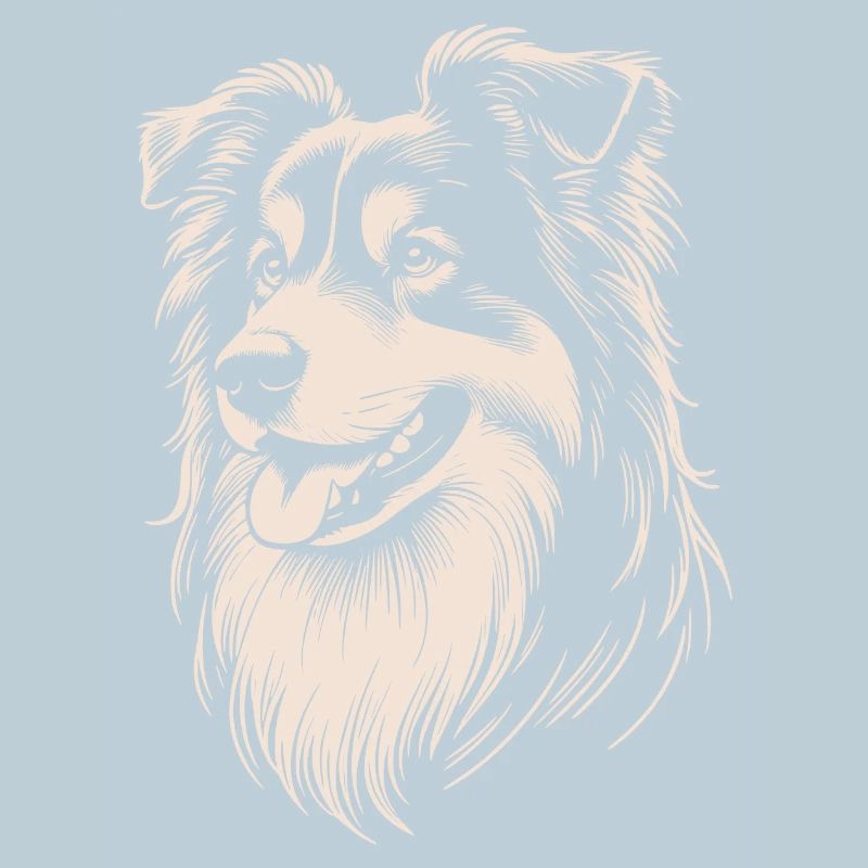 Australian Shepherd Features