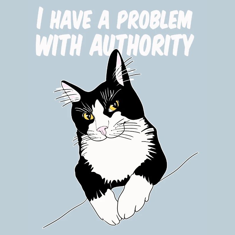 Le chat défie l’autorité
