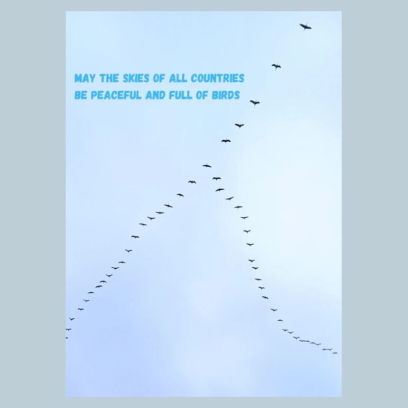 Des oiseaux dans le ciel