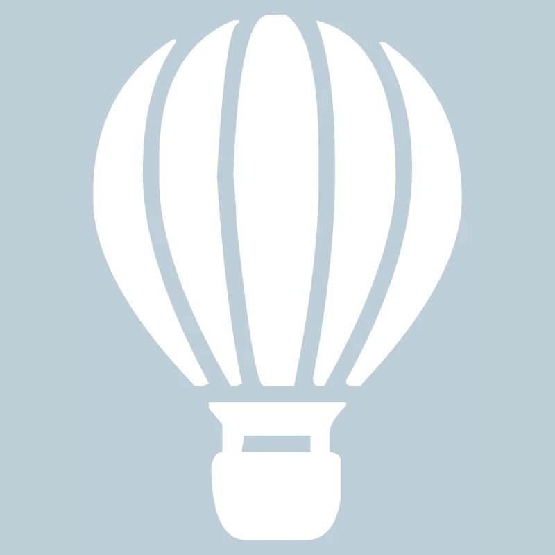 A hot air balloon
