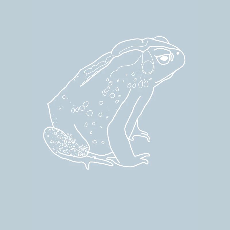 crapaud