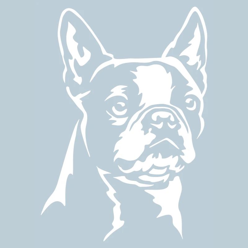 Tête de Boston Terrier « Black Edition »