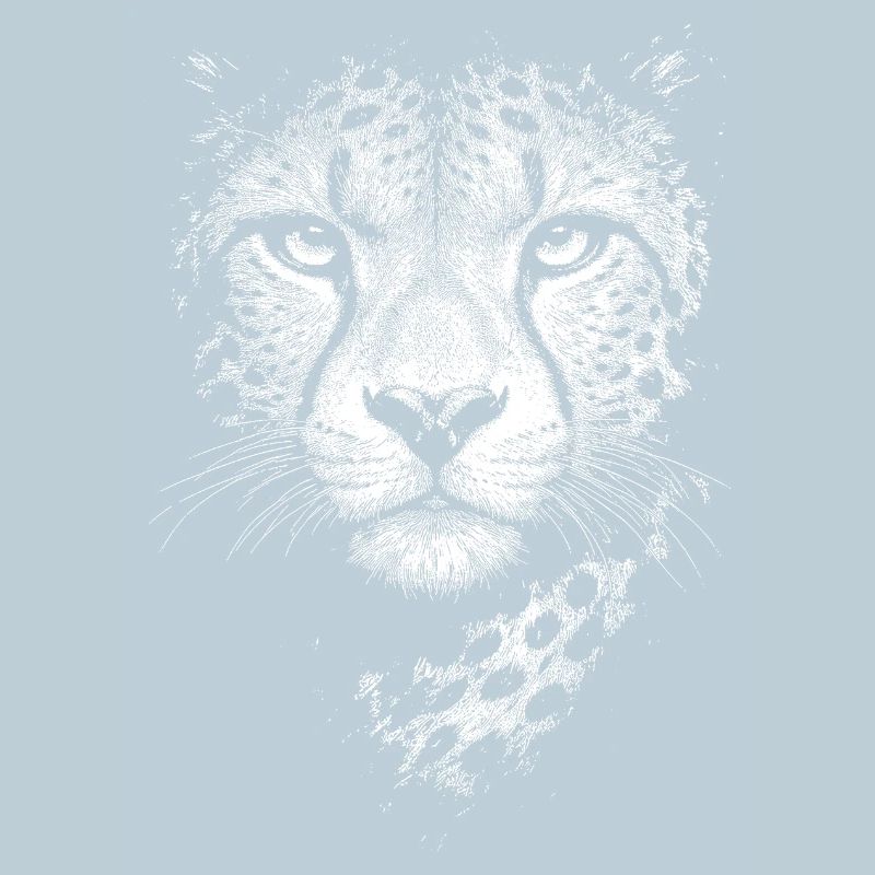 Guépard