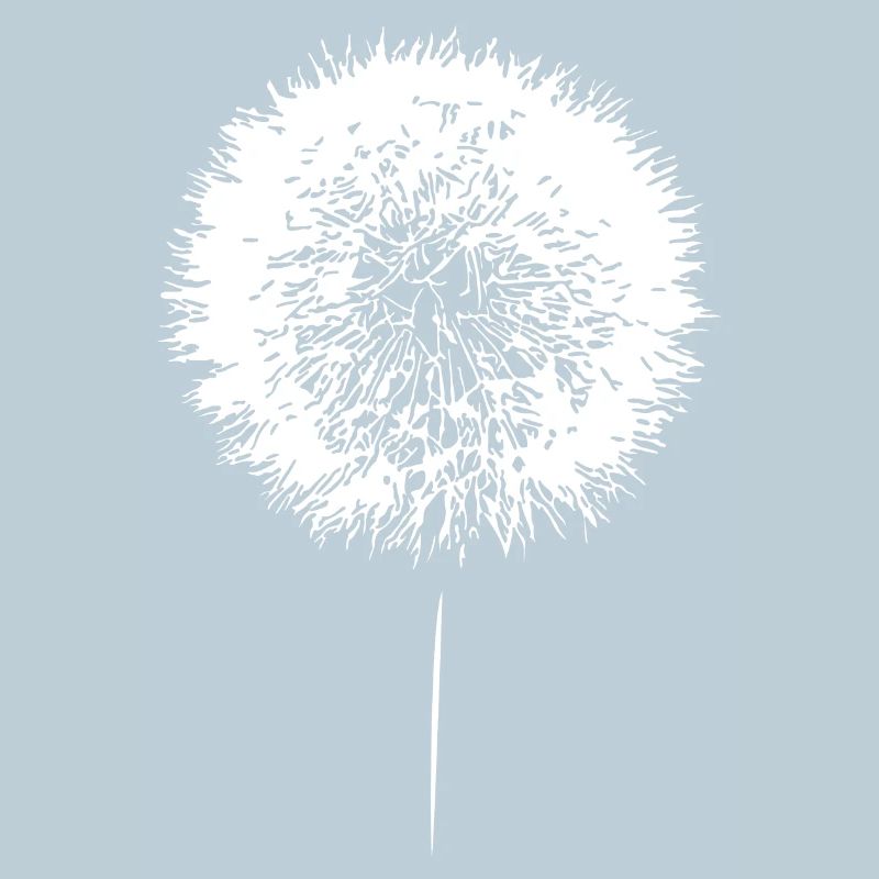 Dandelion Dandelion Seeds
