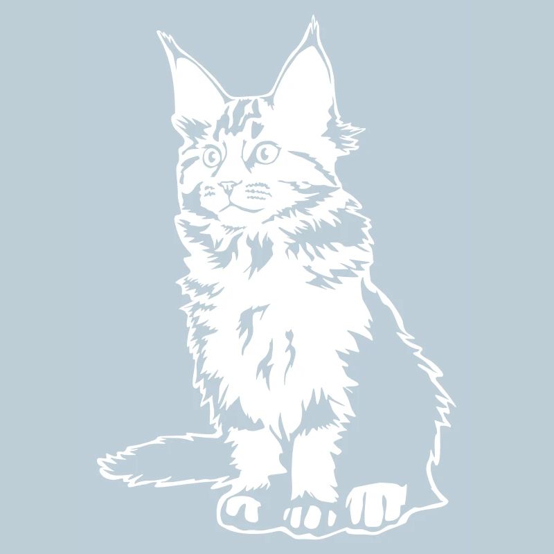 Maine coon cat "Black Edition"