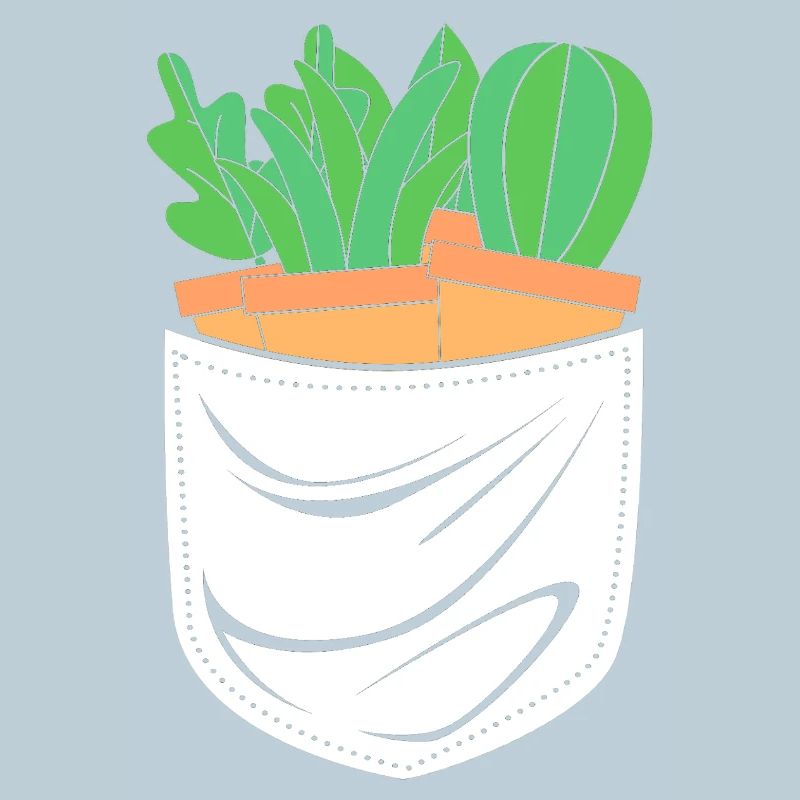 Cactus Plante Cactus