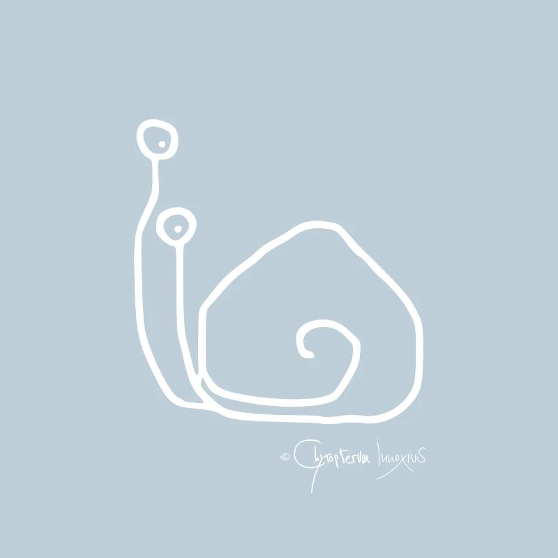 Snailsolomeeting - Singlesnail