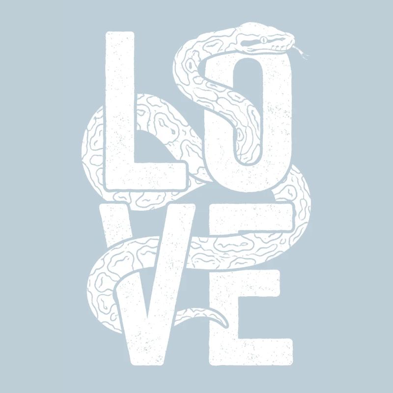 Königspython Schlangen LOVE Terrarium Python