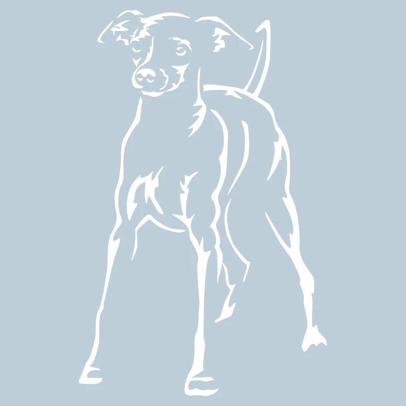Nain Pinscher « Black Edition »