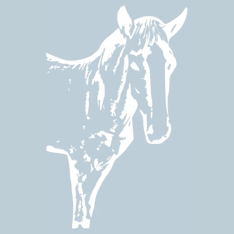 cheval blanc cheval blanc t-shirt cadeau cavalier