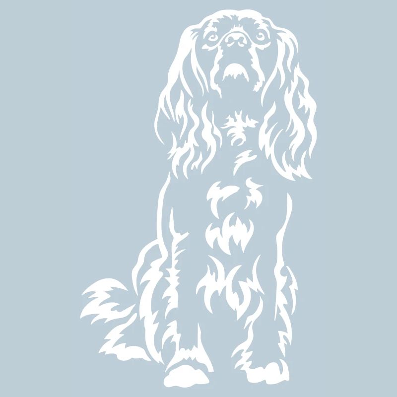 American Cocker Spaniel « Black Edition »