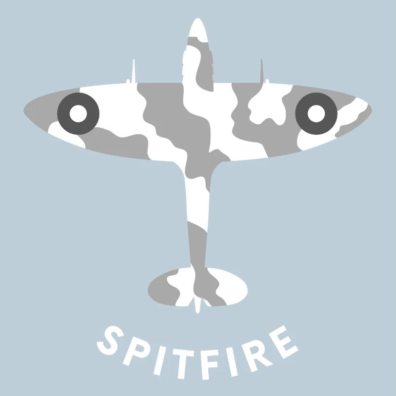 Avion de chasse de Spitfire