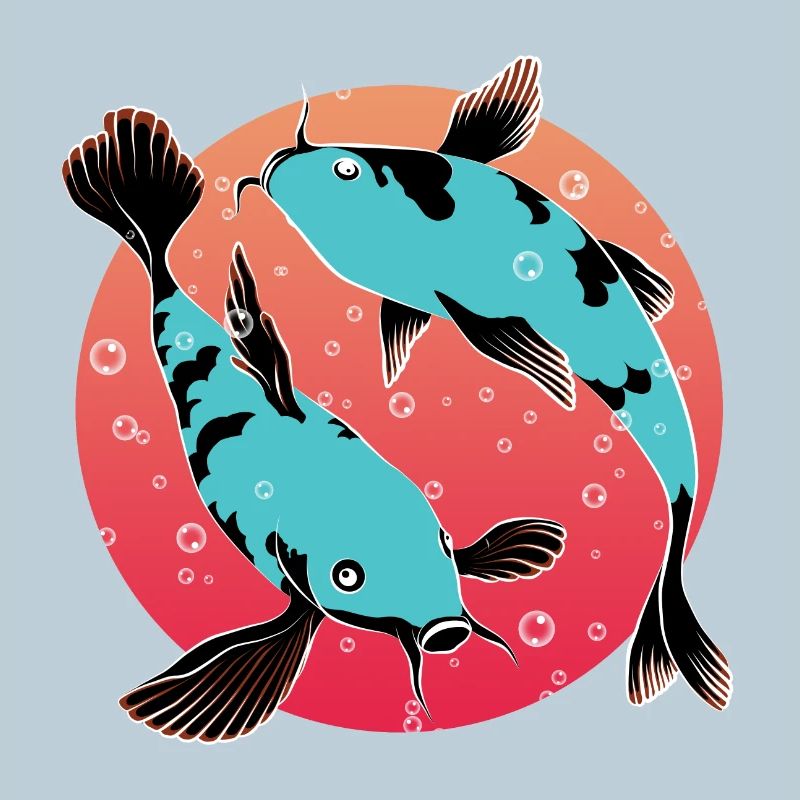 Carp Koi | Japanese ornamental fish