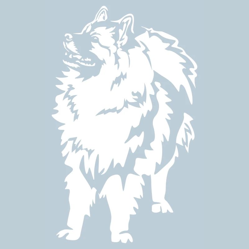 Wolfsspitz « Édition Noire »