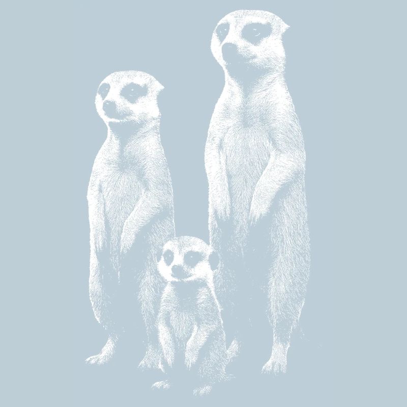 Lumière suricate