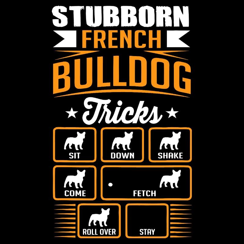 Tours têtus du bouledogue français