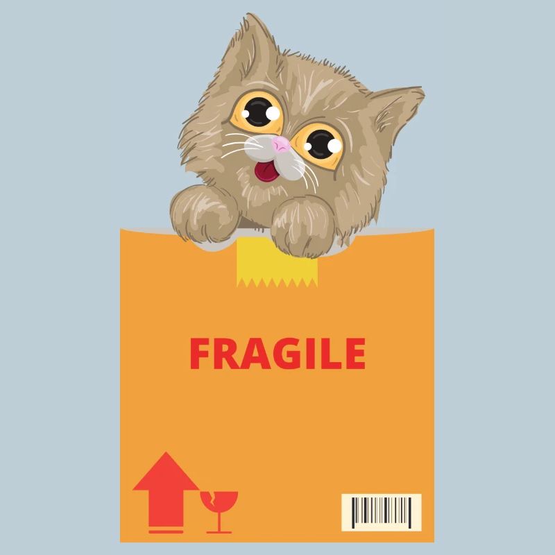 Curious Kitten on Fragile Package