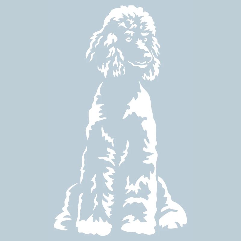 Caniche « Black Edition »