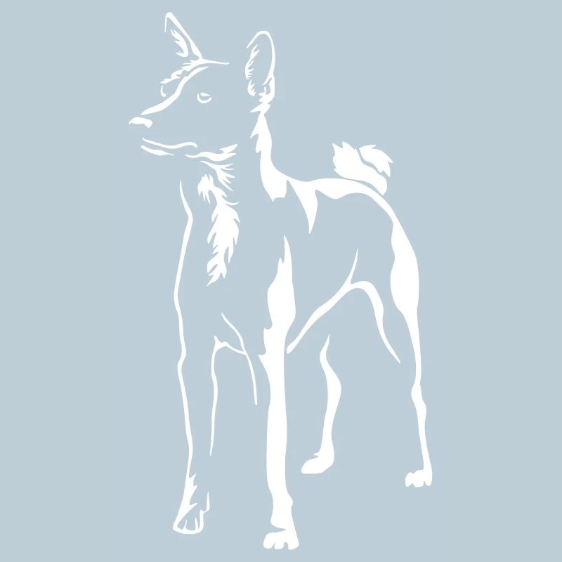 Basenji "Black Edition"