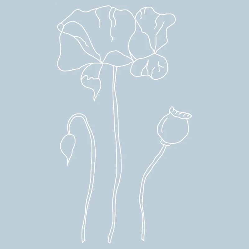 Coquelicot
