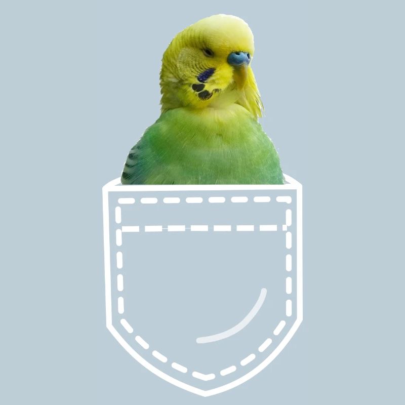 Vogel Wellensittich