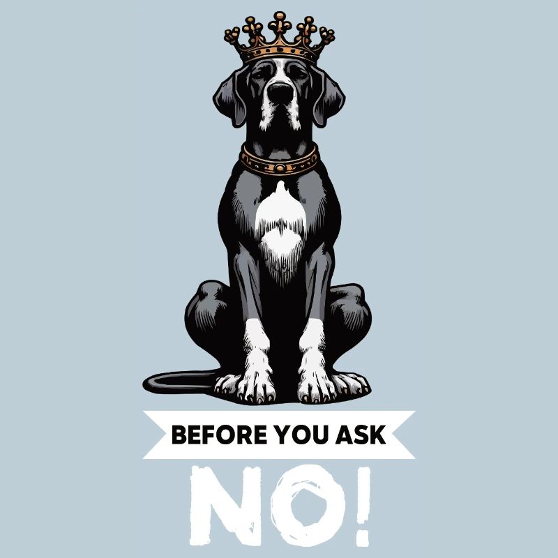 Before You Ask Great Dane Great Dane Owner