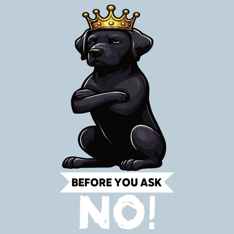 Before You Ask Labrador Labrador Labrador Owner Labrador