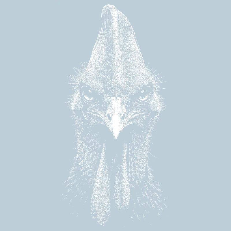 Cassowary