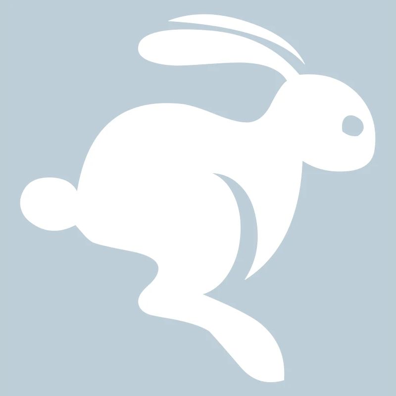 An adorable rabbit