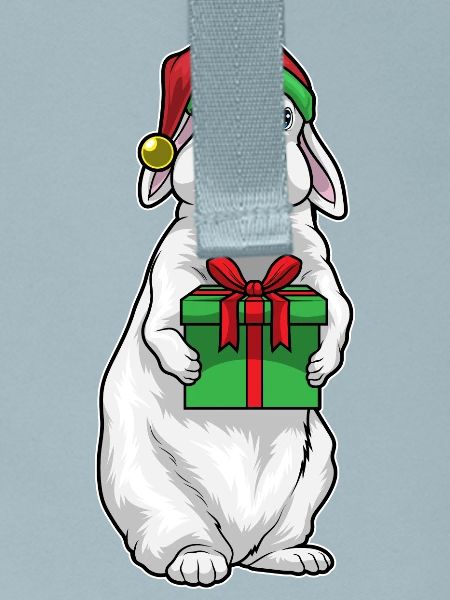 Bunny Christmas Package