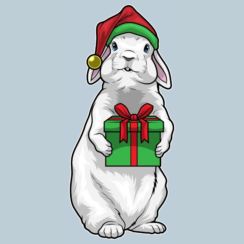 Bunny Christmas Package