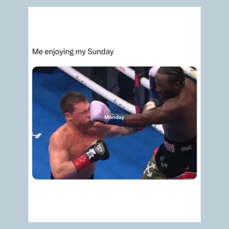 Moment de boxe du dimanche