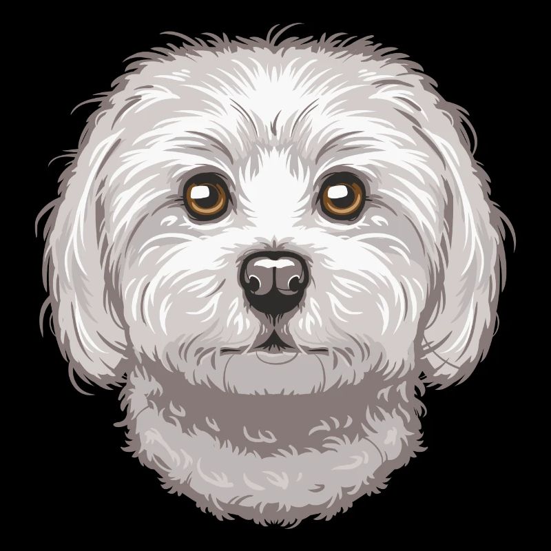 Maltese