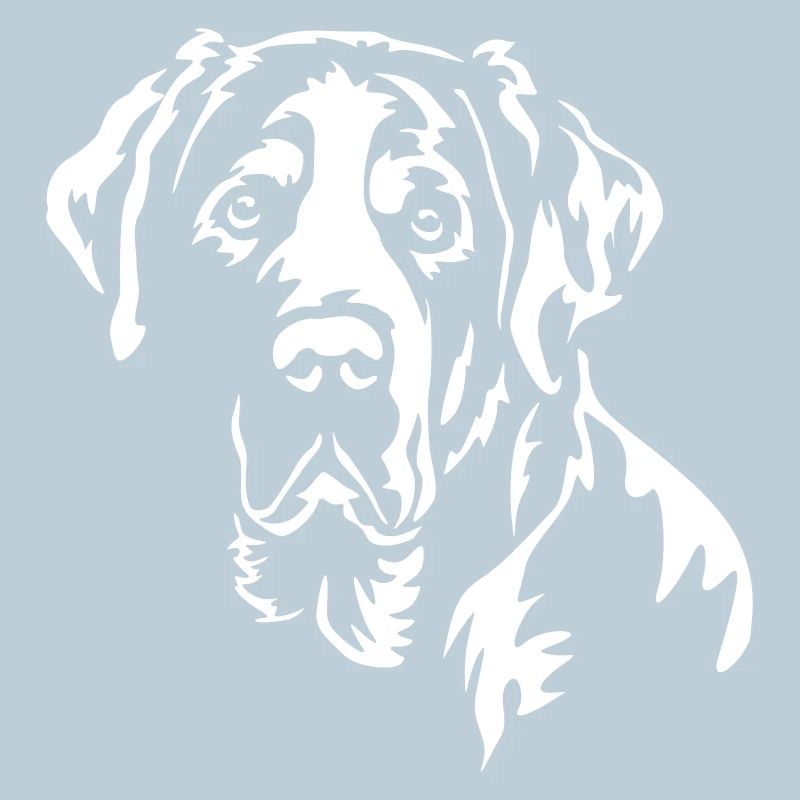 Großer Schweizer Sennenhund Kopf "Black Edition"