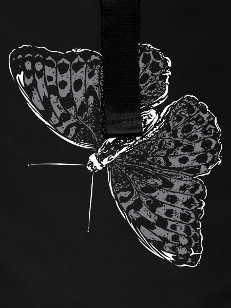 Butterfly Wing Butterfly Butterfly
