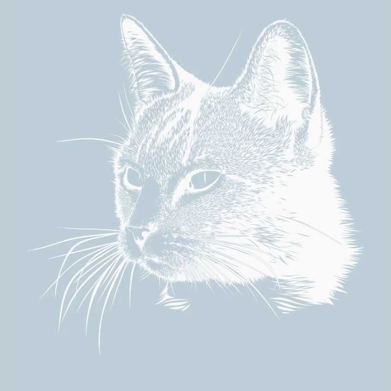 Tête de chat - Blanc