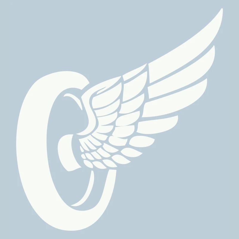 Ailerons de pneus