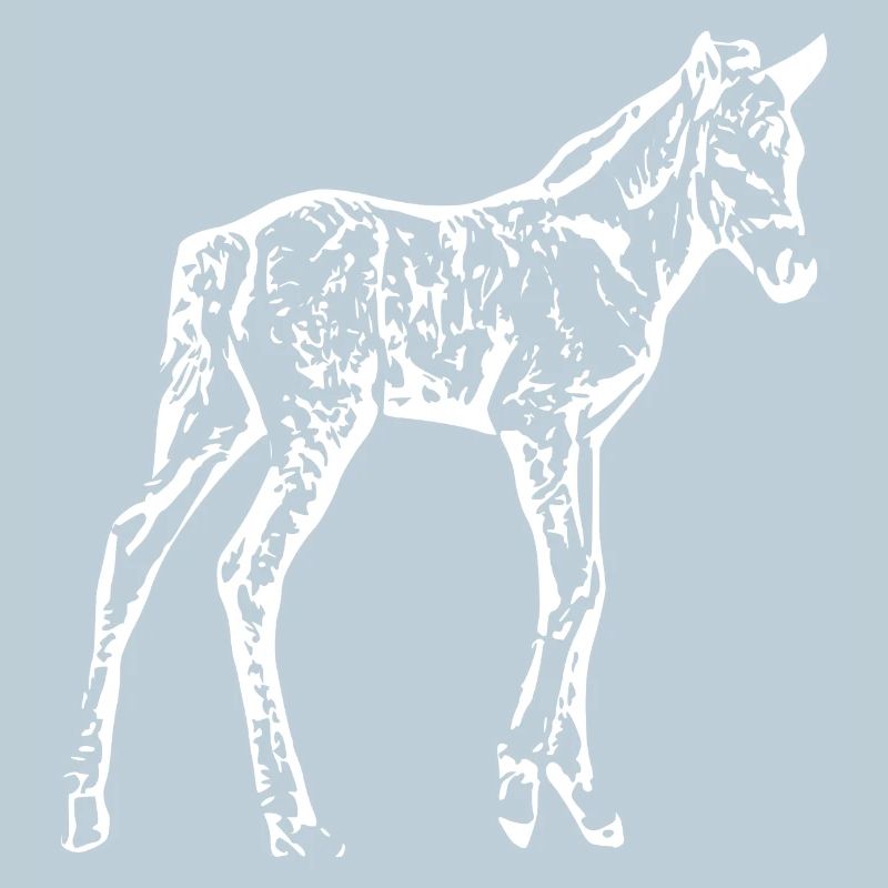 Cheval Blanc, Poulain