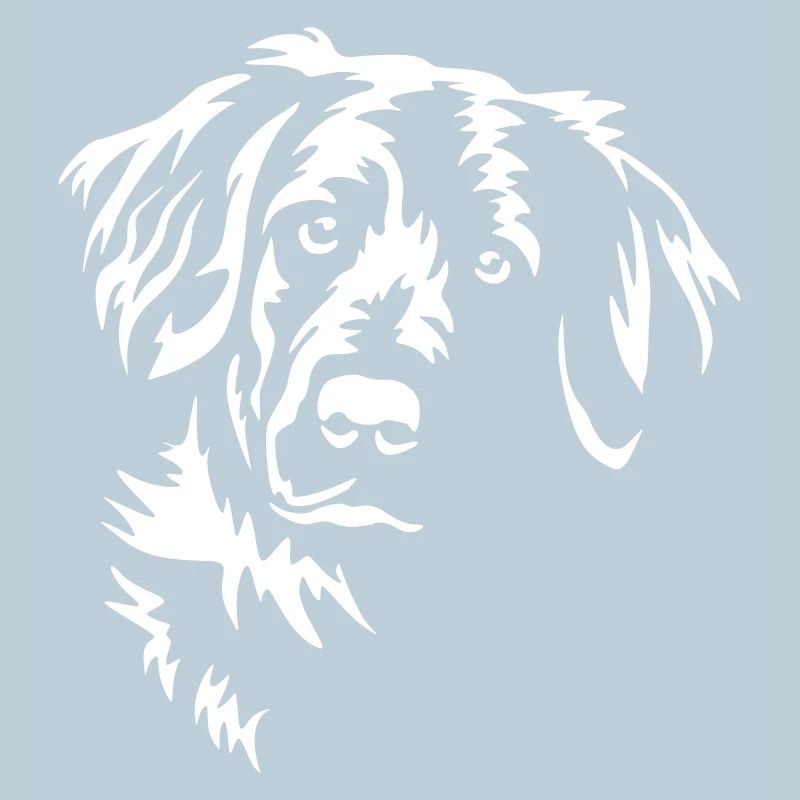 Flat-coated Retriever Head "Black Edition"