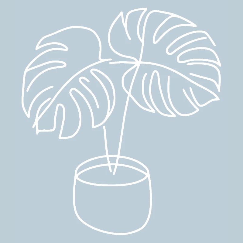 Monstera