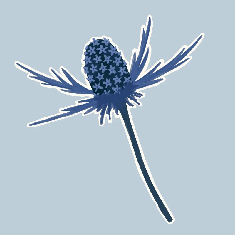 Blue Sea Holly Bloom