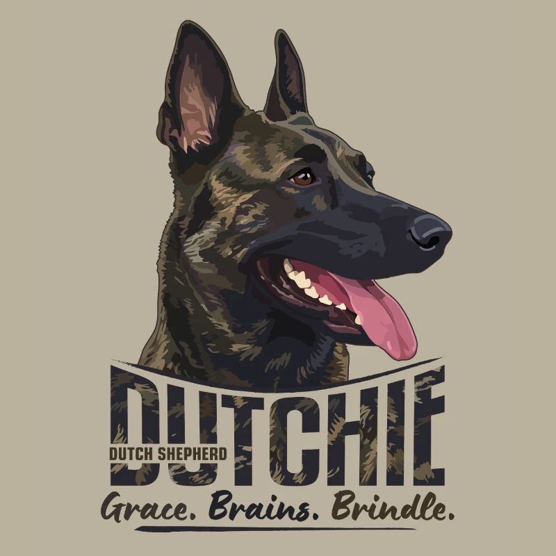 Dutchie - Holländischer Schäferhund