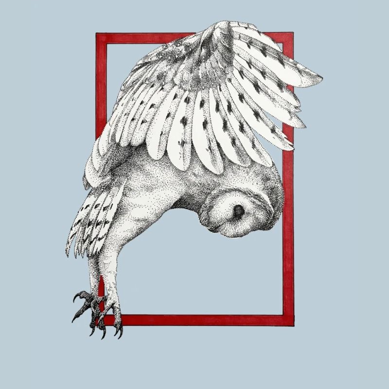 Owl with frame