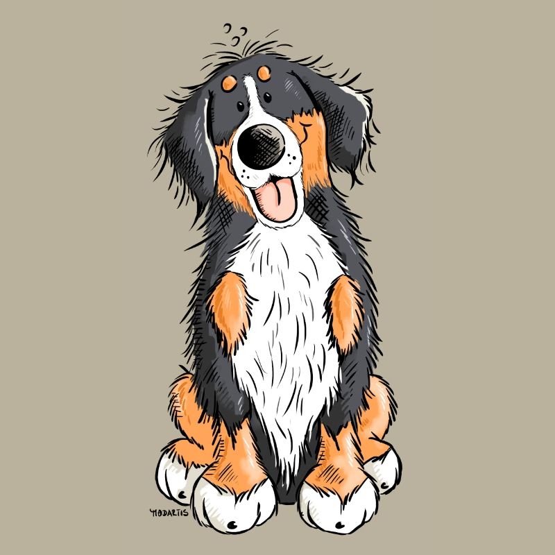 Berner Sennenhund mach Platz